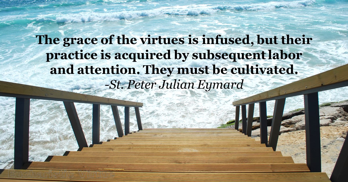 Virtue Quote